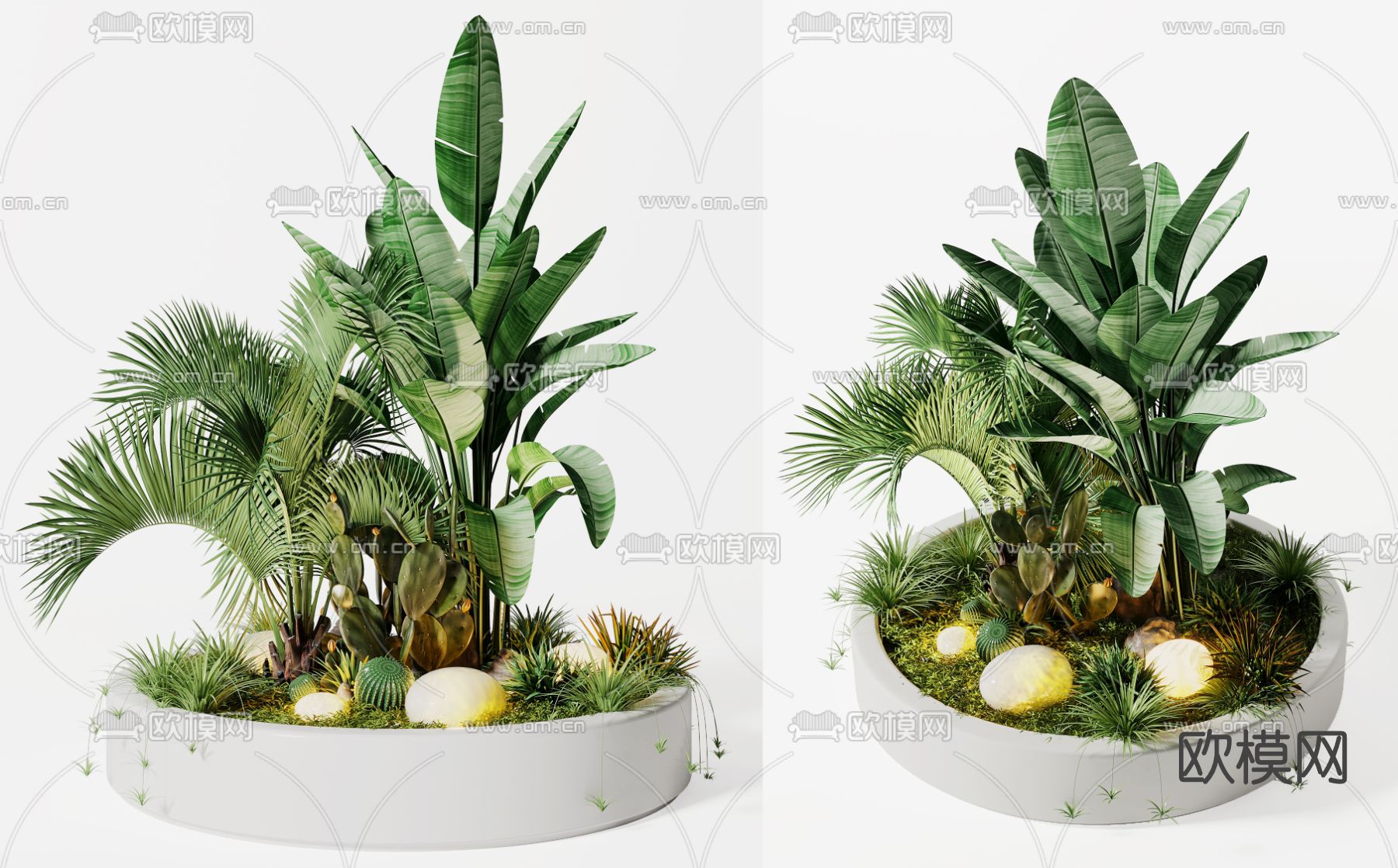 现代植物盆栽3d模型
