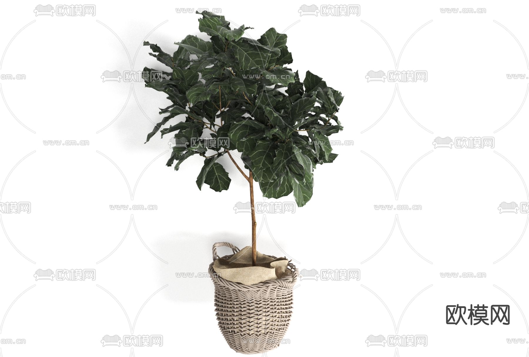 北欧绿植盆栽免费3d模型下载