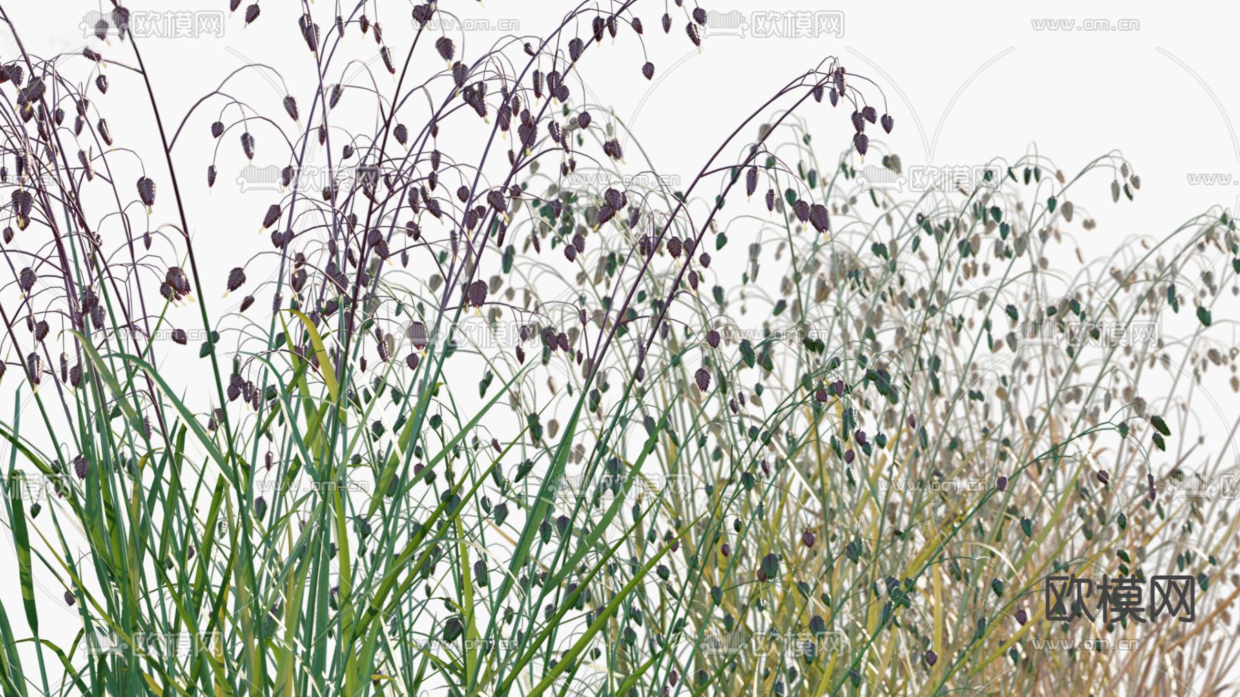 现代凌风草滨草3d模型下载_ID11650722_3dmax免费模型-欧模网