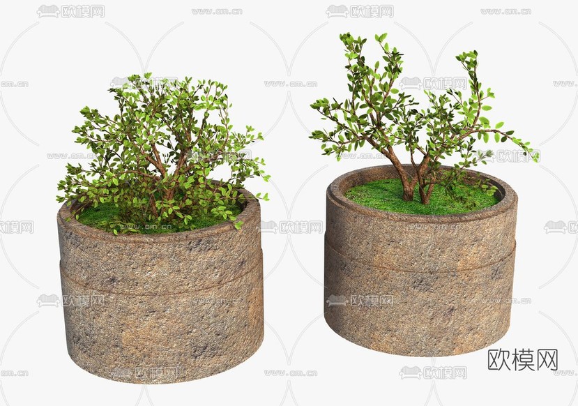 现代绿植盆栽免费3d模型下载