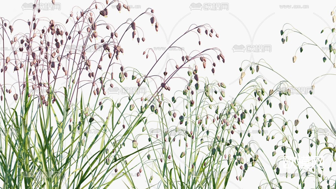 现代凌风草滨草3d模型下载_ID11650722_3dmax免费模型-欧模网