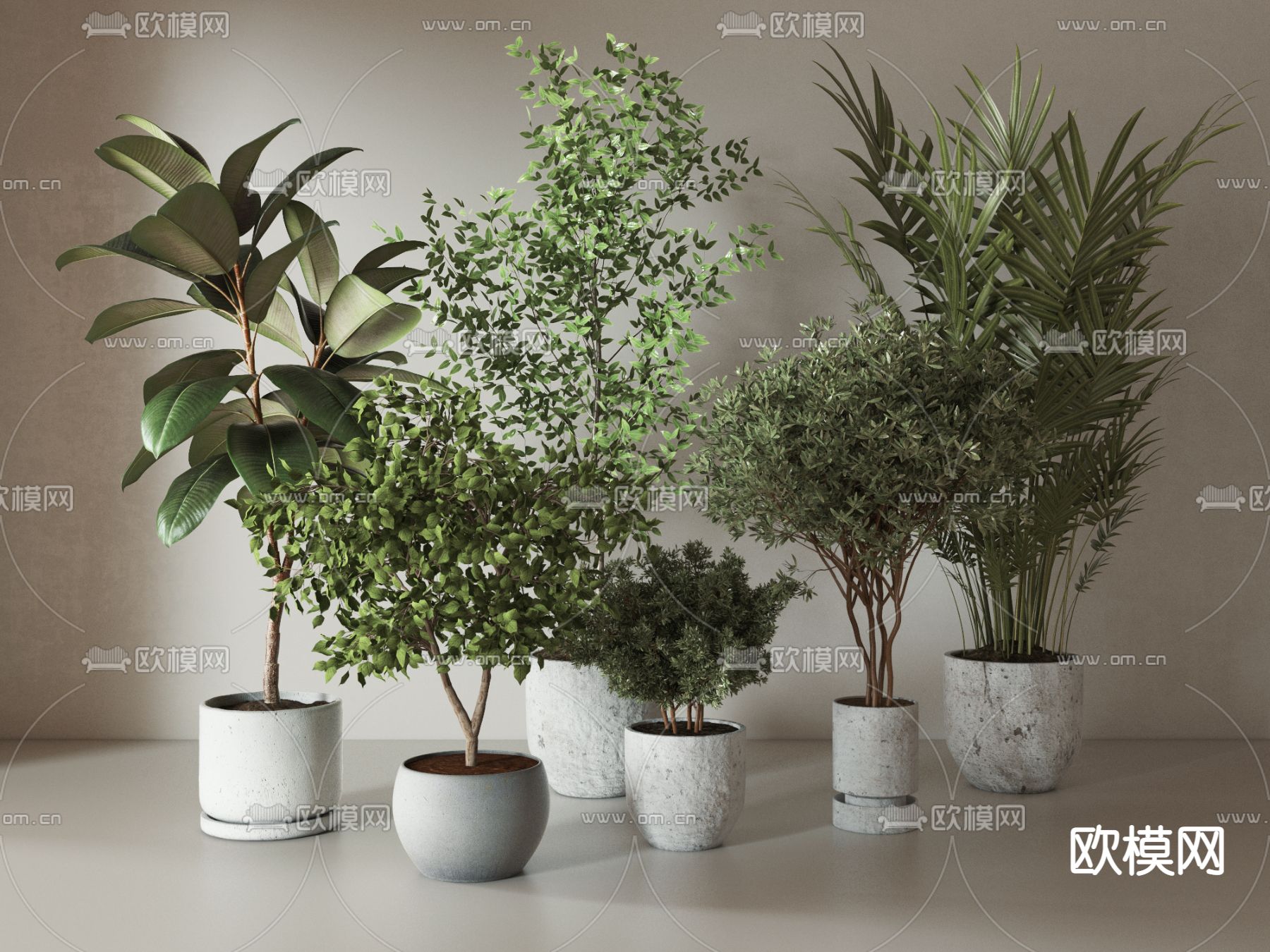 现代绿植盆栽3d模型下载