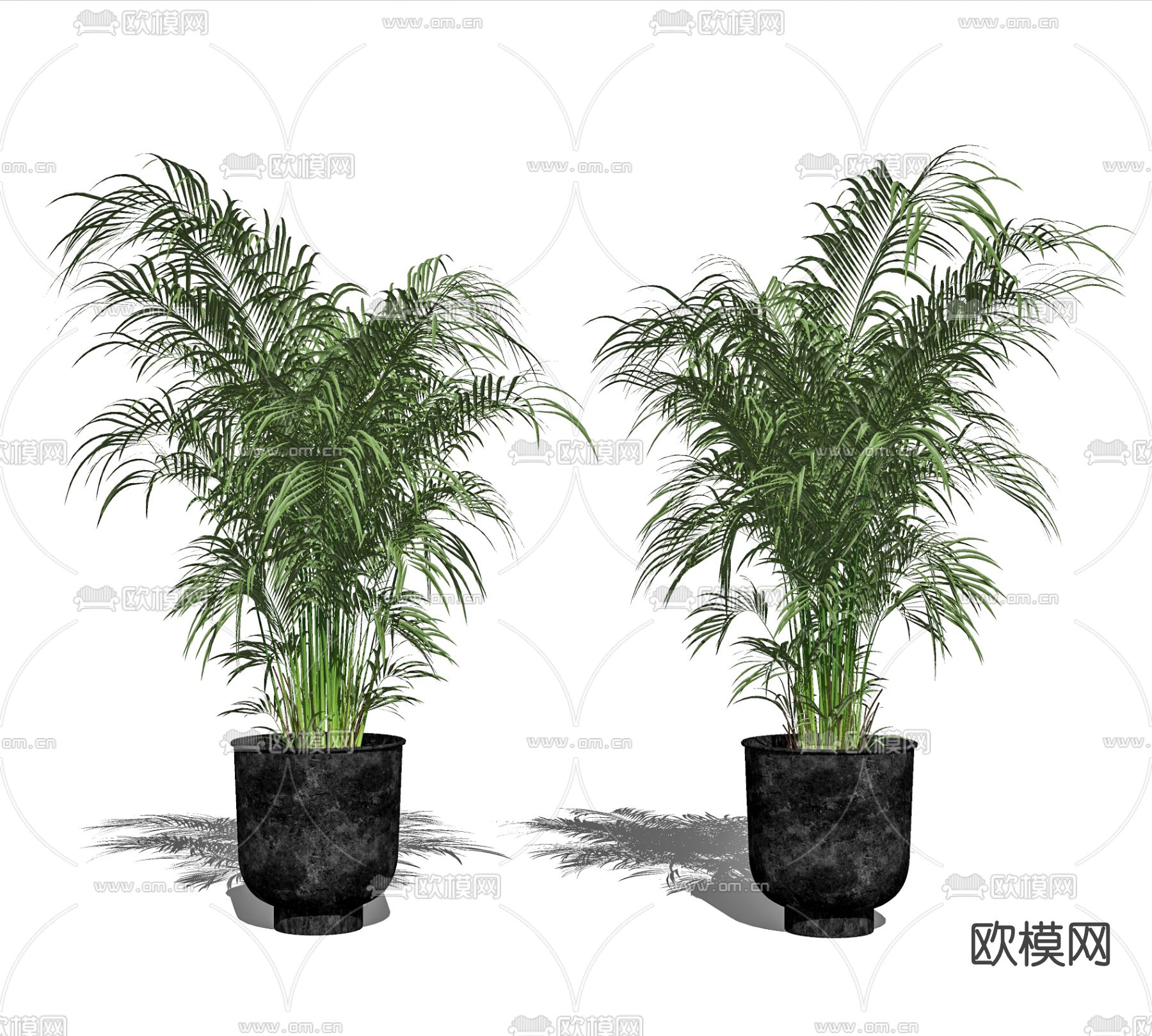 现代植物盆栽su模型下载（渲染图2）