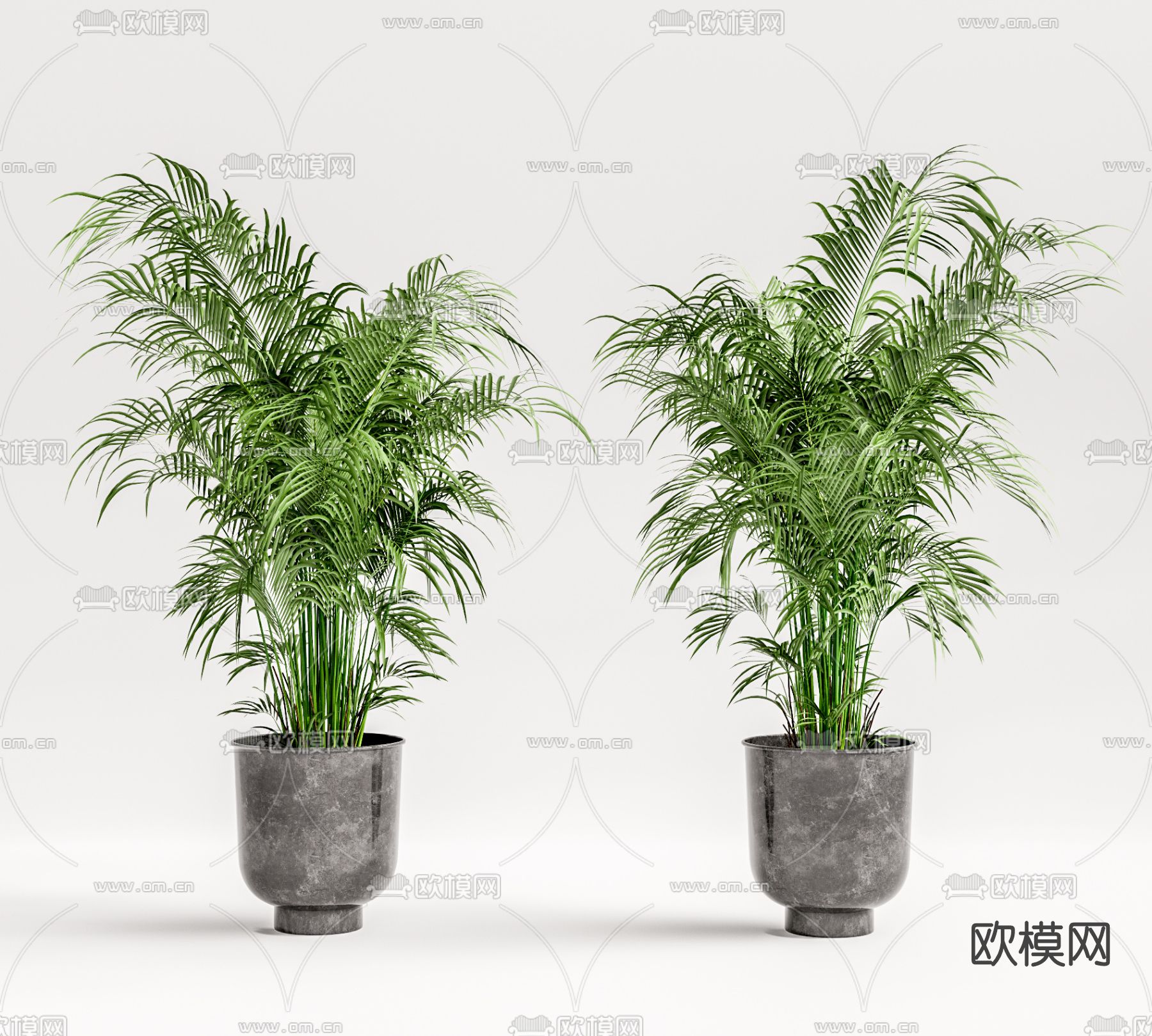 现代植物盆栽su模型下载（渲染图1）