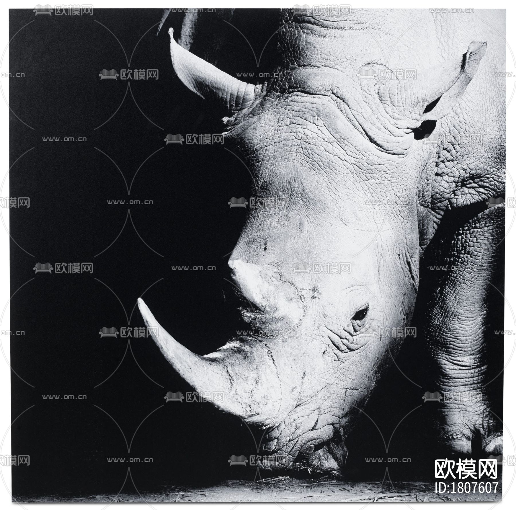 摄影装饰画下载