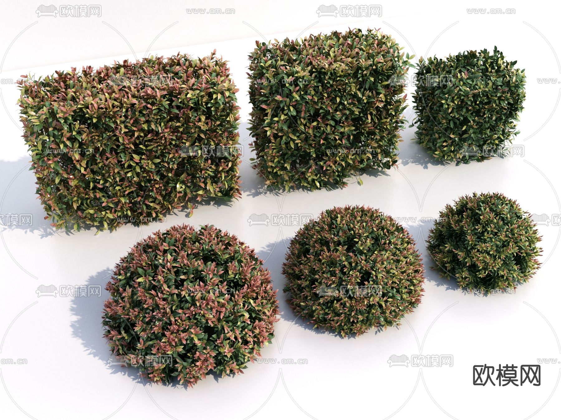 现代绿植灌木丛3d模型下载