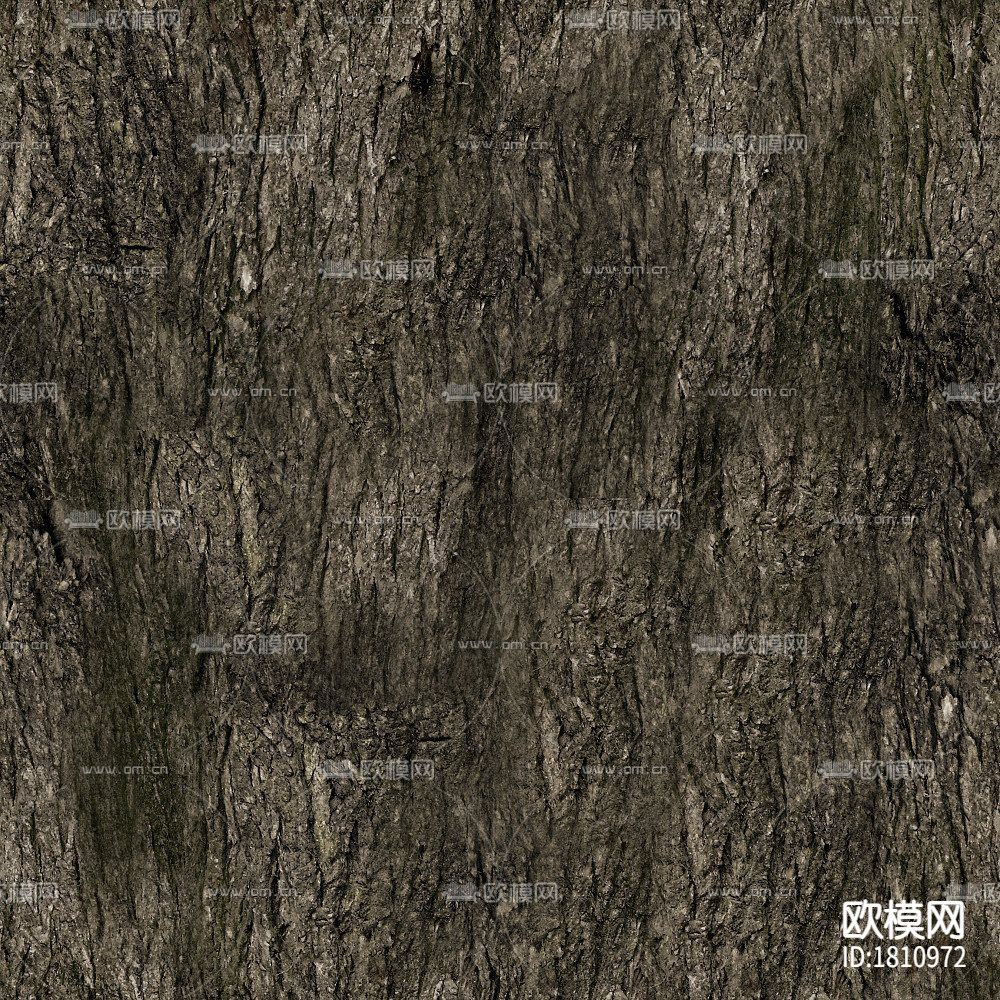 树皮