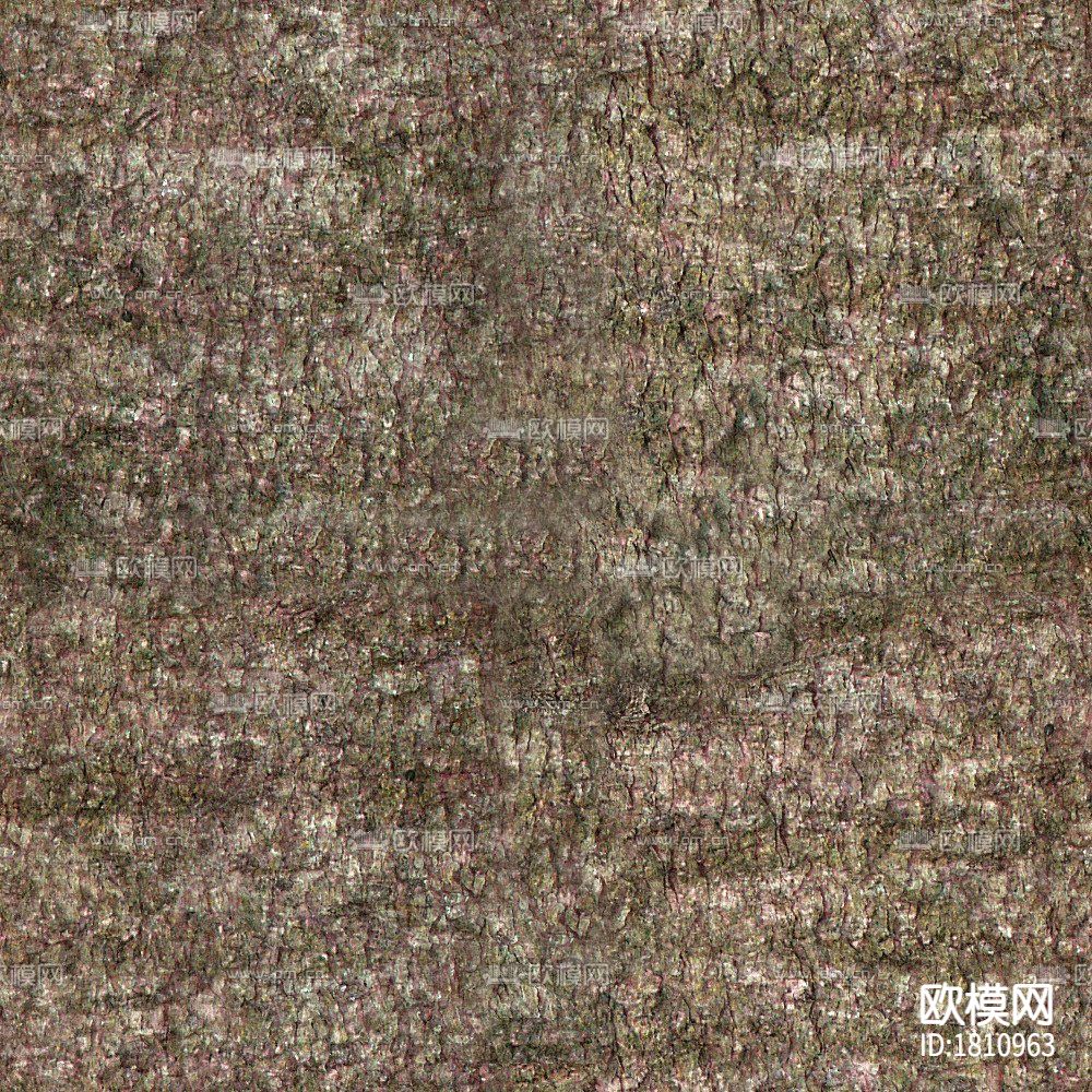 树皮下载