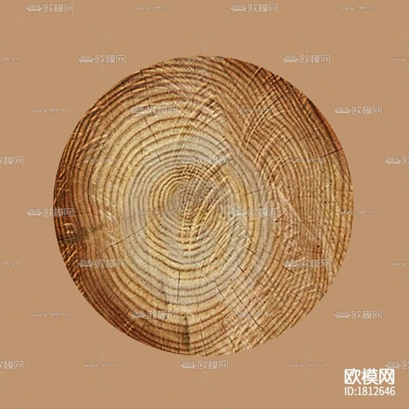树桩下载