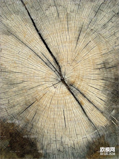 木桩截面下载