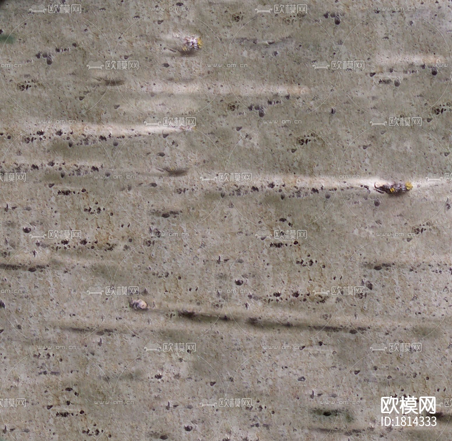 树皮下载