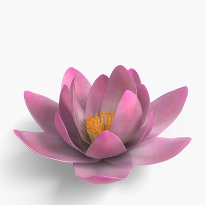 现代3d花草模型-植物3d模型-3dmax模型免费下载-欧模网