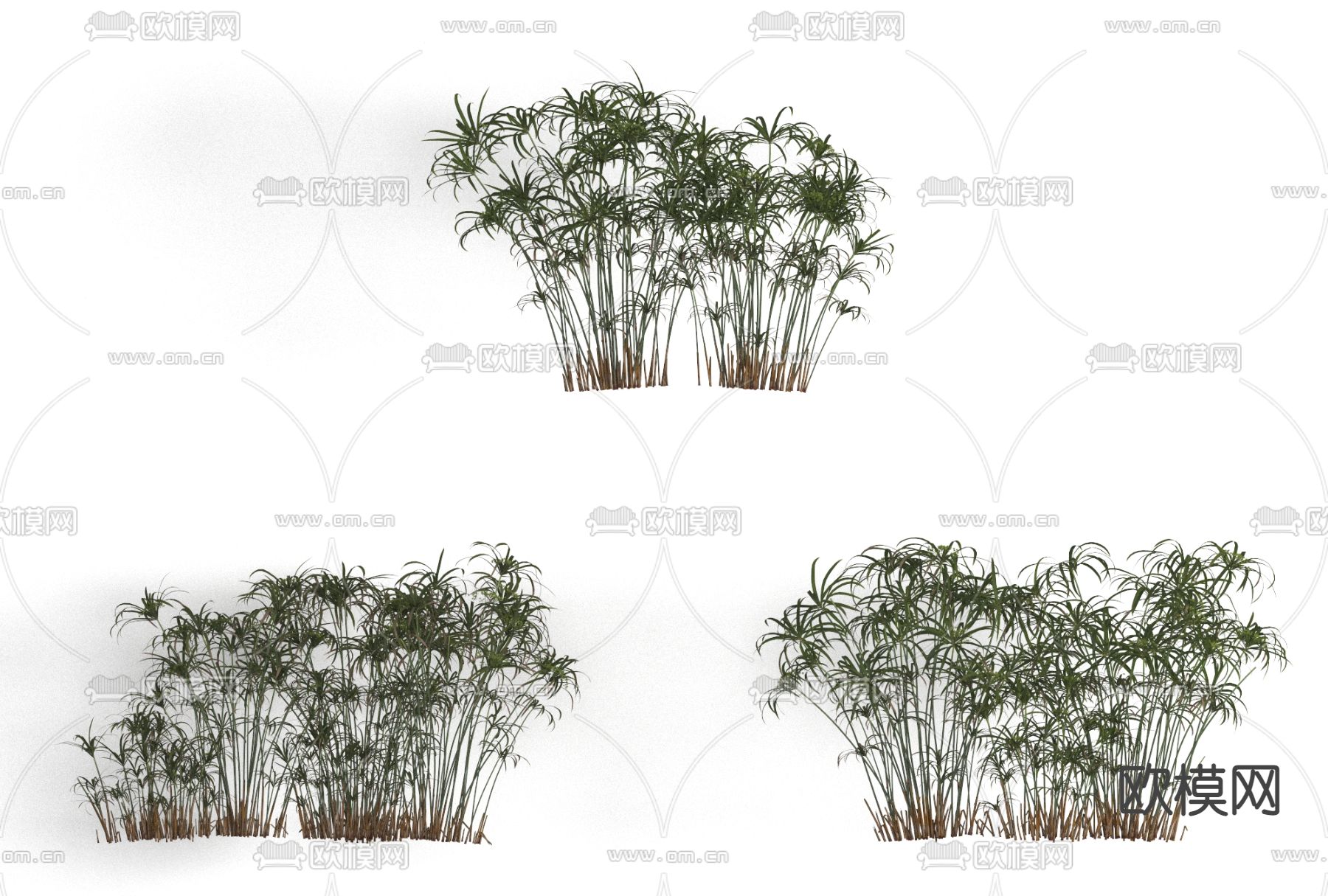 现代绿植竹子免费3d模型下载