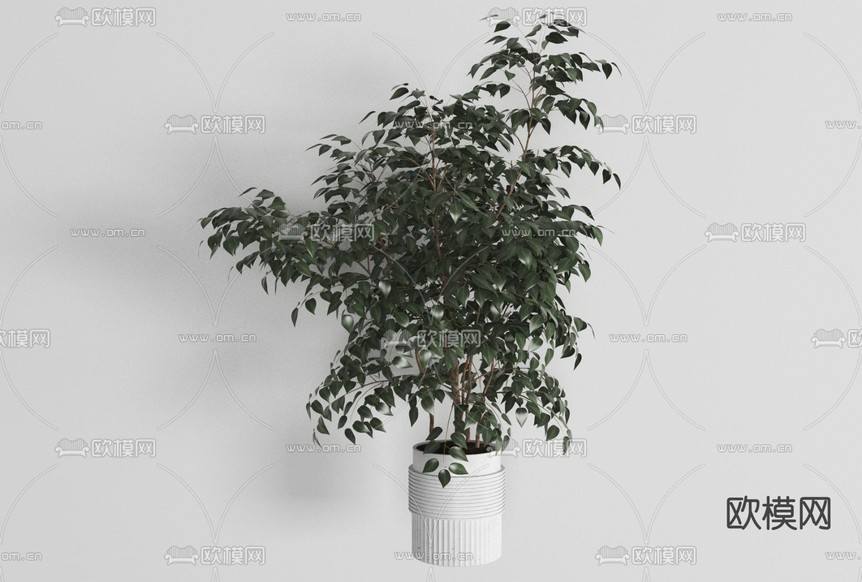 现代绿植盆栽免费3d模型下载_ID11669058_3dmax免费模型-欧模网