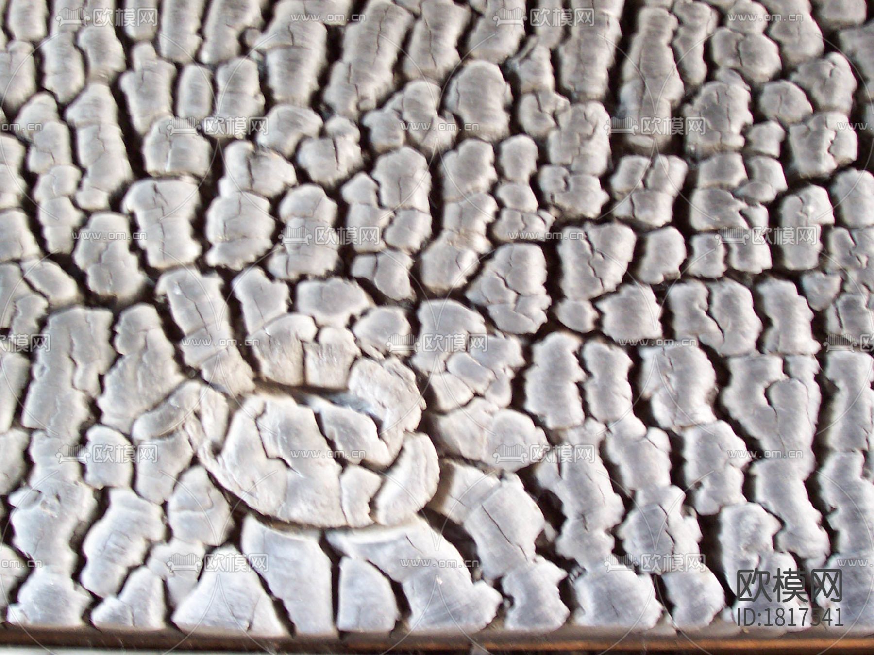 干枯开裂树皮下载