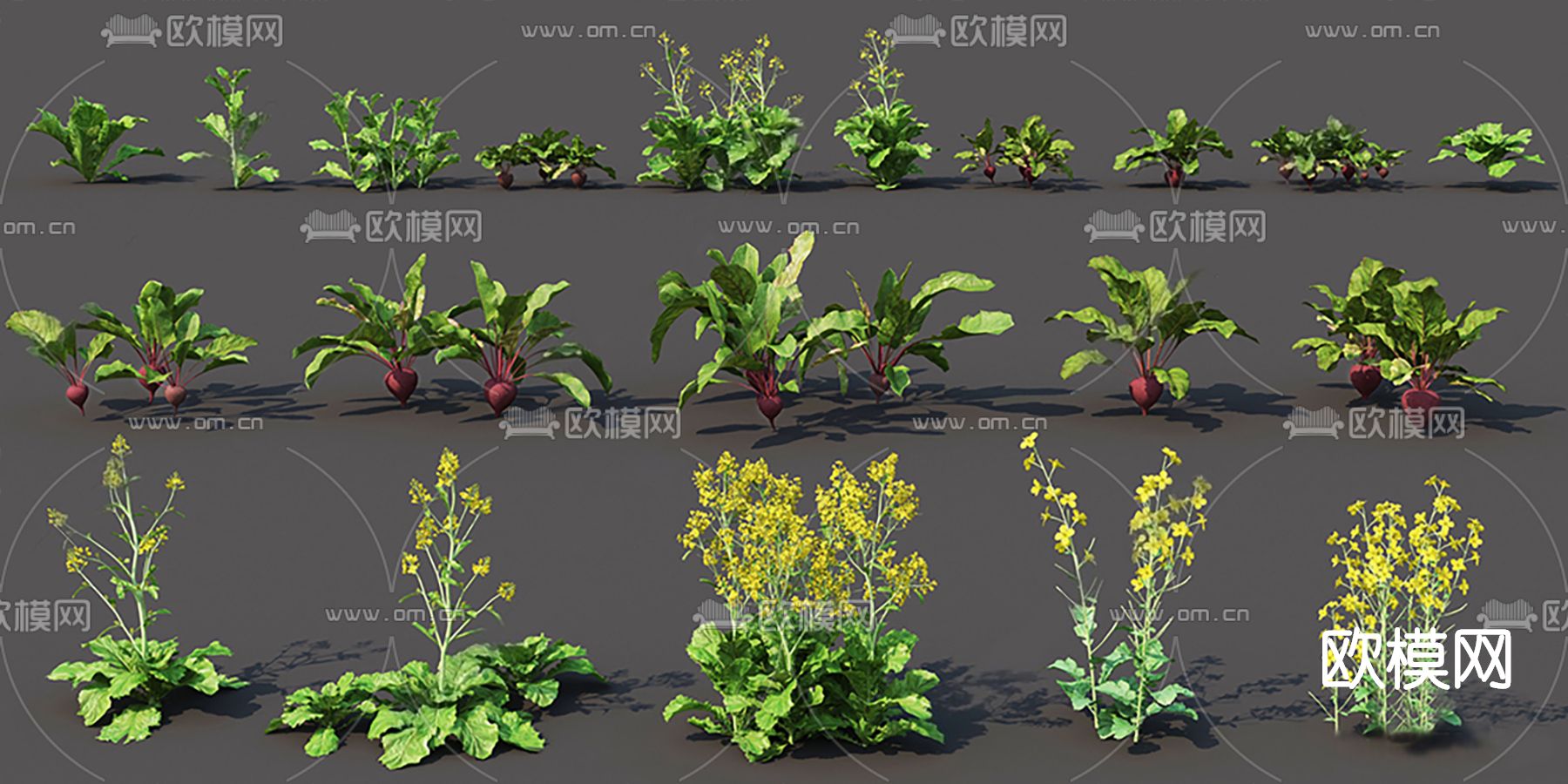 现代花卉草丛su模型