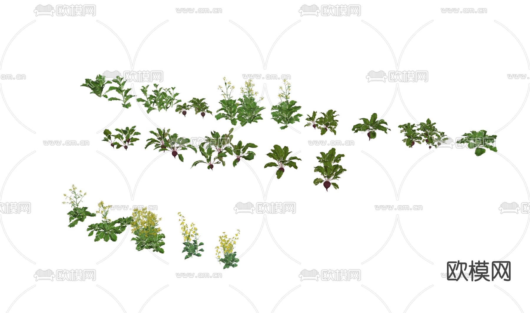 现代花卉草丛su模型