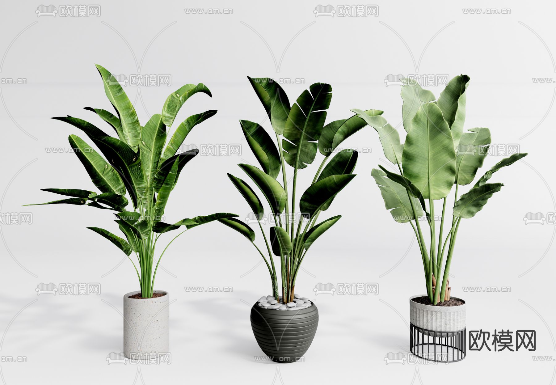 现代植物盆栽su模型下载（渲染图1）