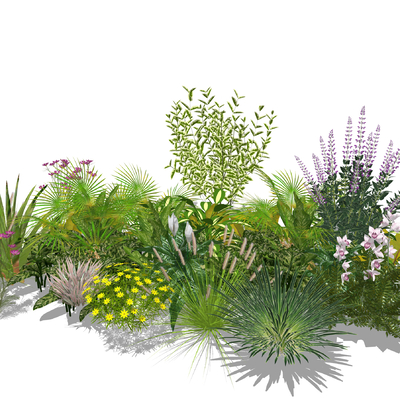  现代灌木花丛su模型 