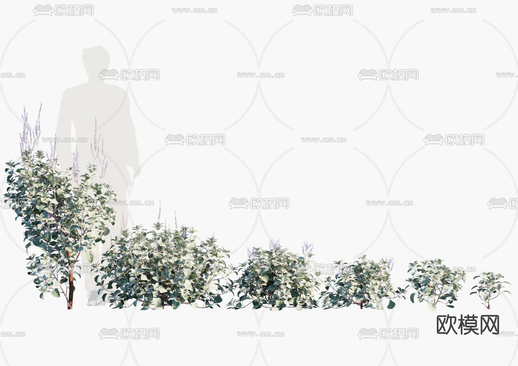 现代绿植灌木su模型