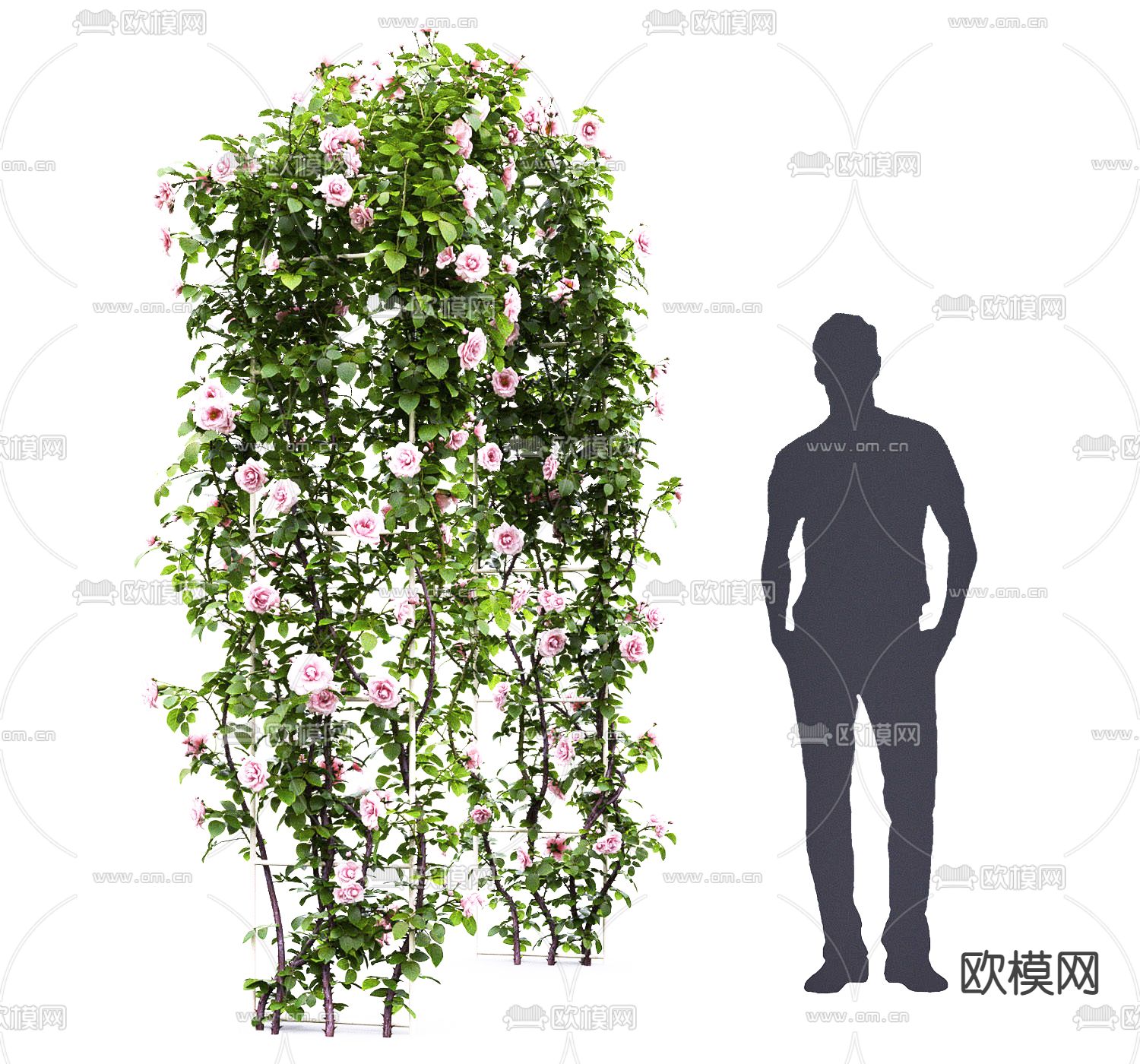 现代植物玫瑰拱门小品3d模型下载（渲染图4）