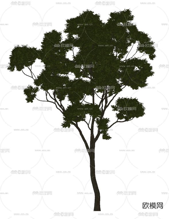 现代绿植树su模型