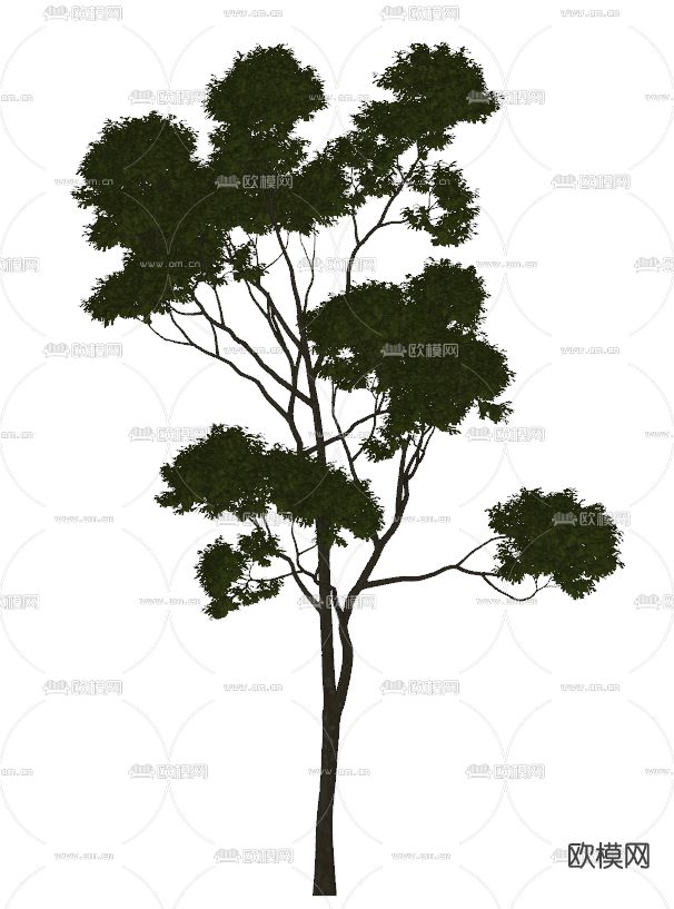 现代绿植树su模型