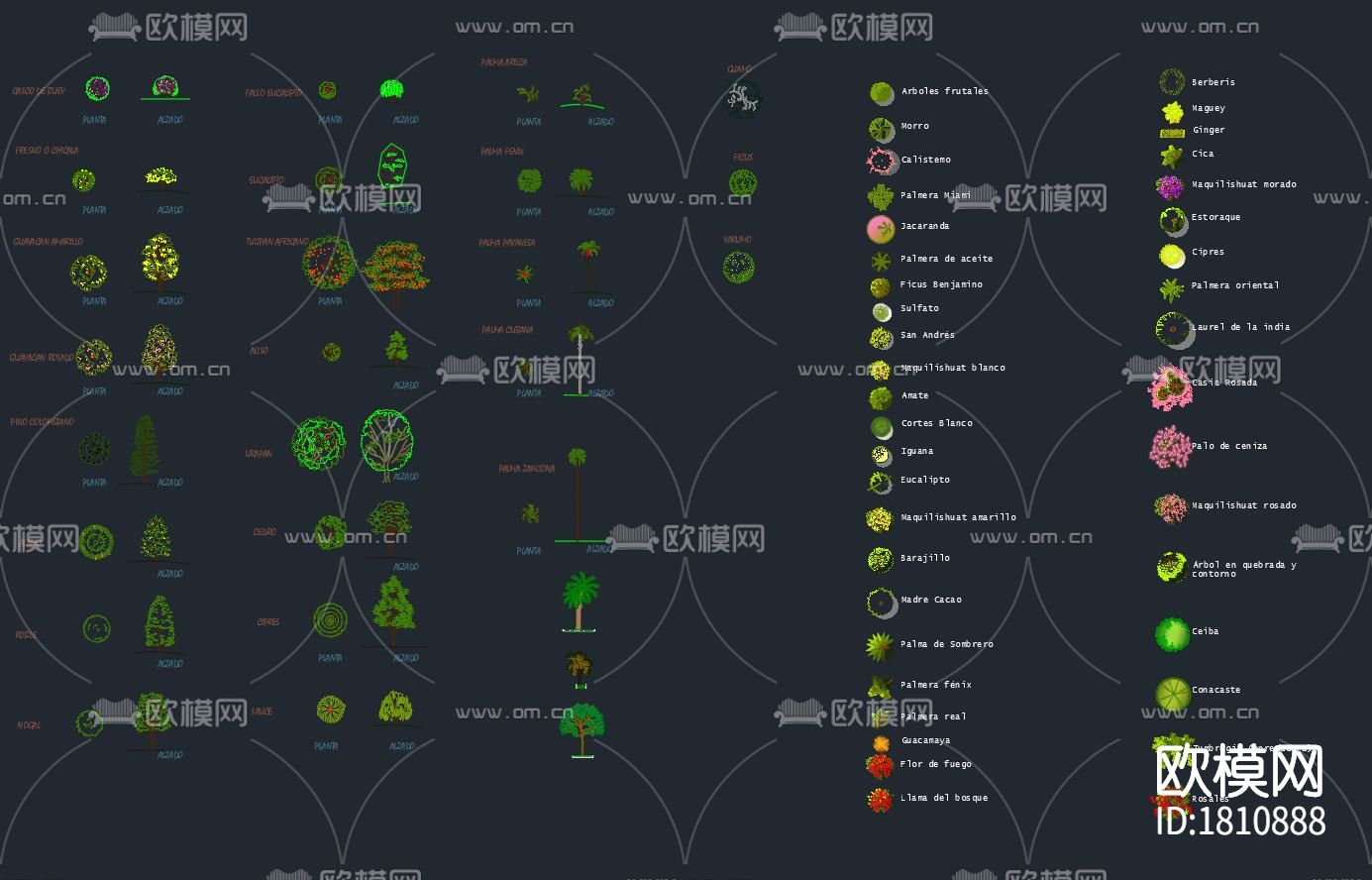 绿植cad图库下载（渲染图4）