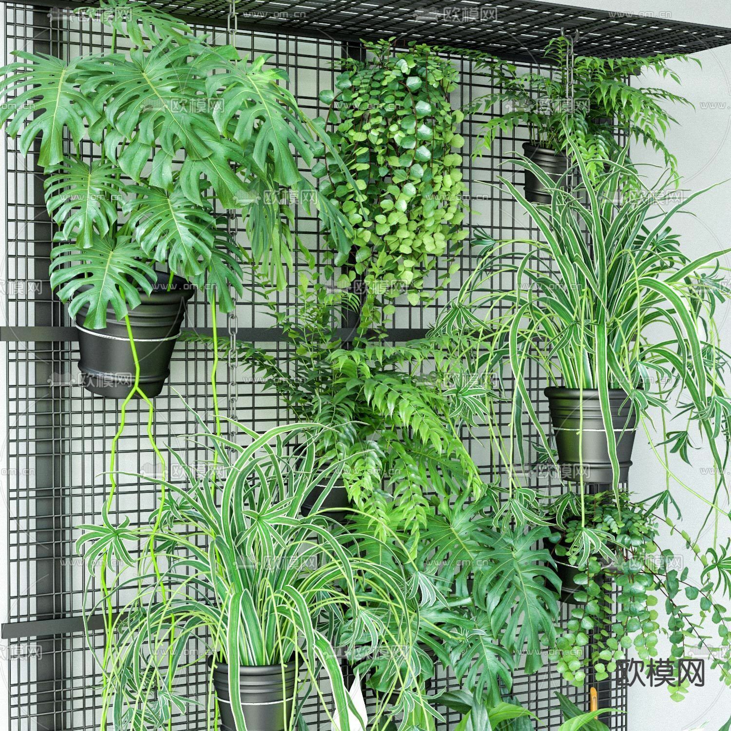 现代绿植盆栽植物墙3d模型下载（渲染图2）