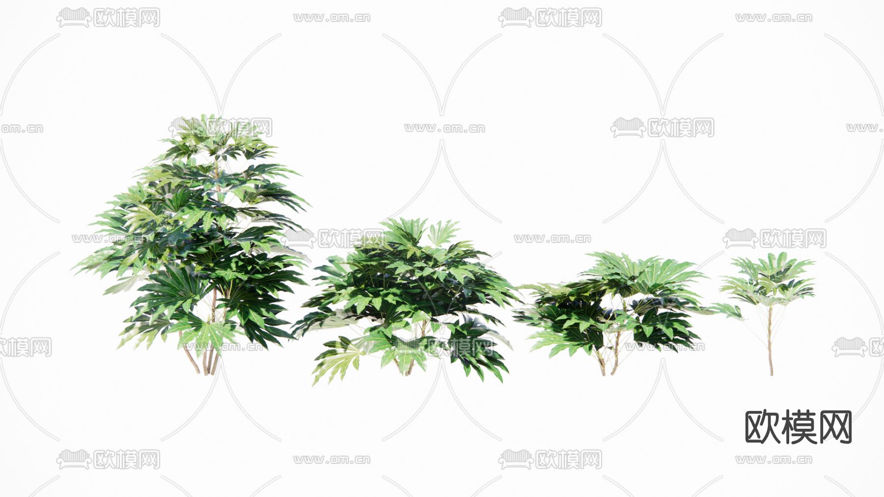 现代绿植灌木su模型