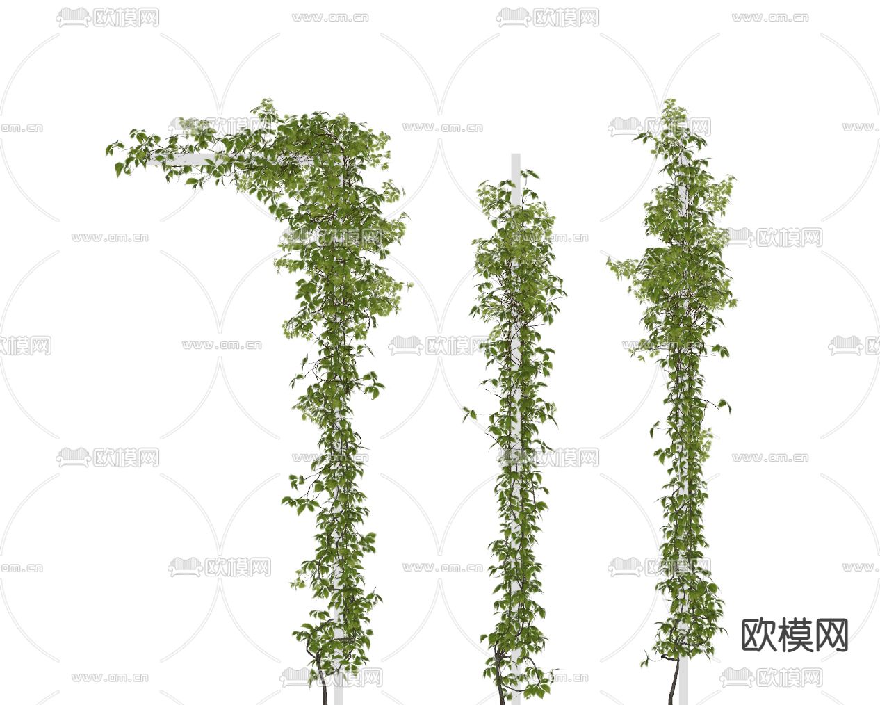 现代植物su模型下载