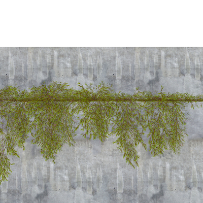  现代植物墙su模型 