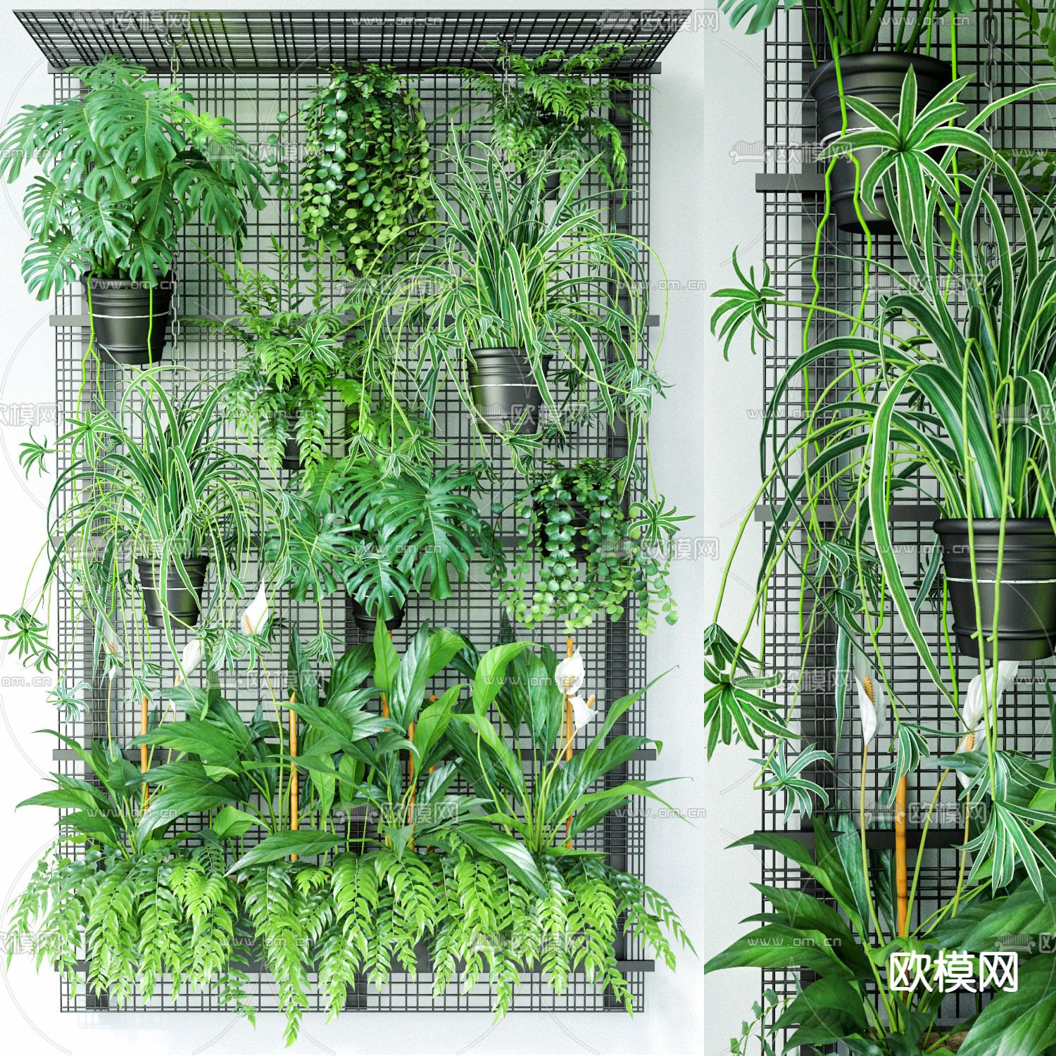 现代绿植盆栽植物墙3d模型下载（渲染图1）