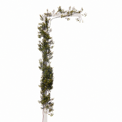  现代植物su模型 