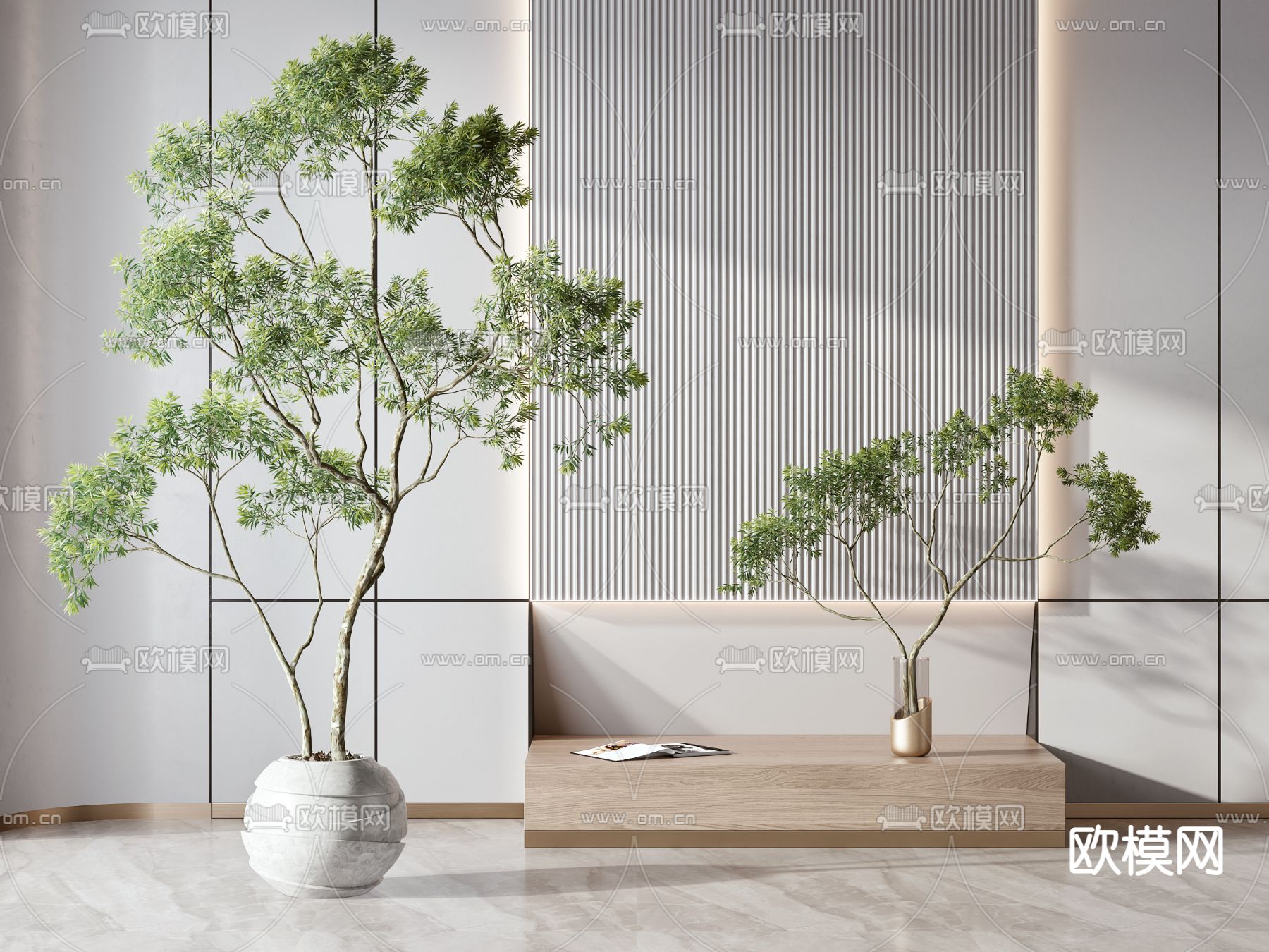 现代绿植盆栽3d模型下载（渲染图1）