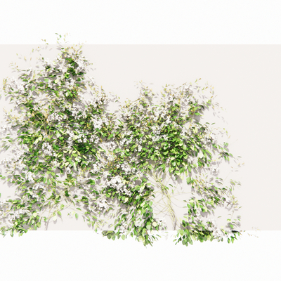  现代植物墙su模型 