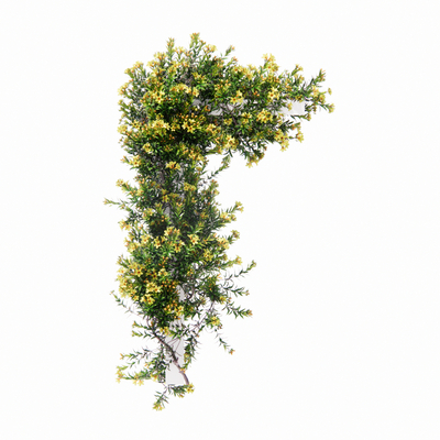  现代藤蔓su模型 