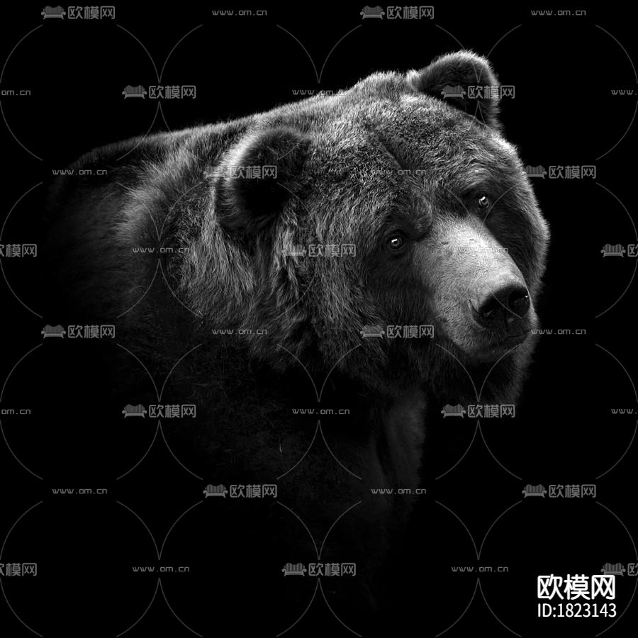 摄影