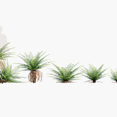  现代棕榈su模型 