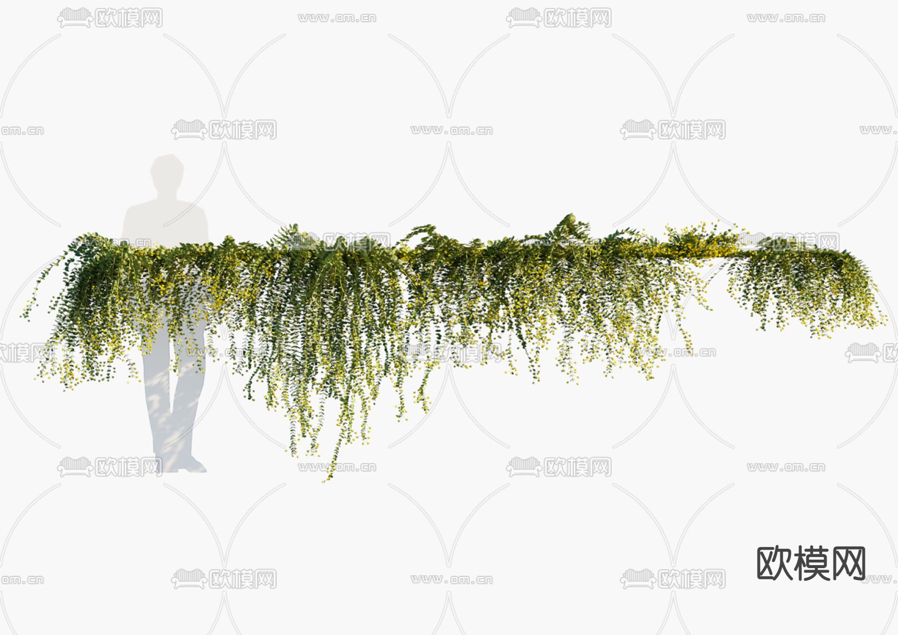 现代植物墙su模型