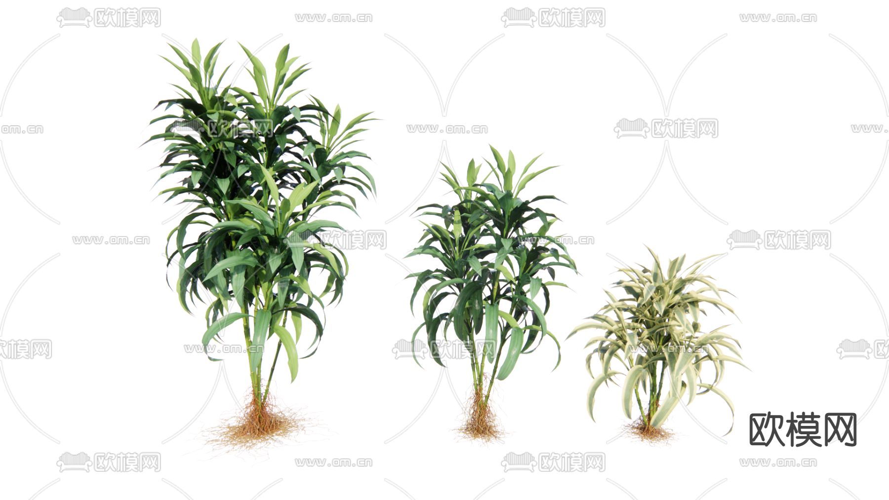 现代灌木su模型下载