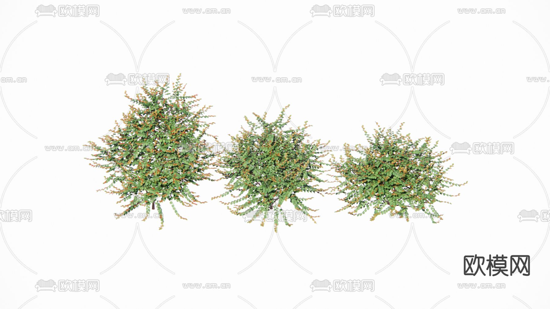 现代灌木su模型