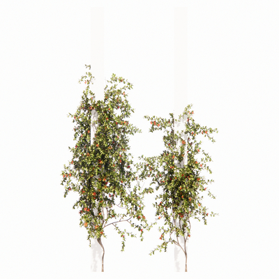  现代藤蔓su模型 