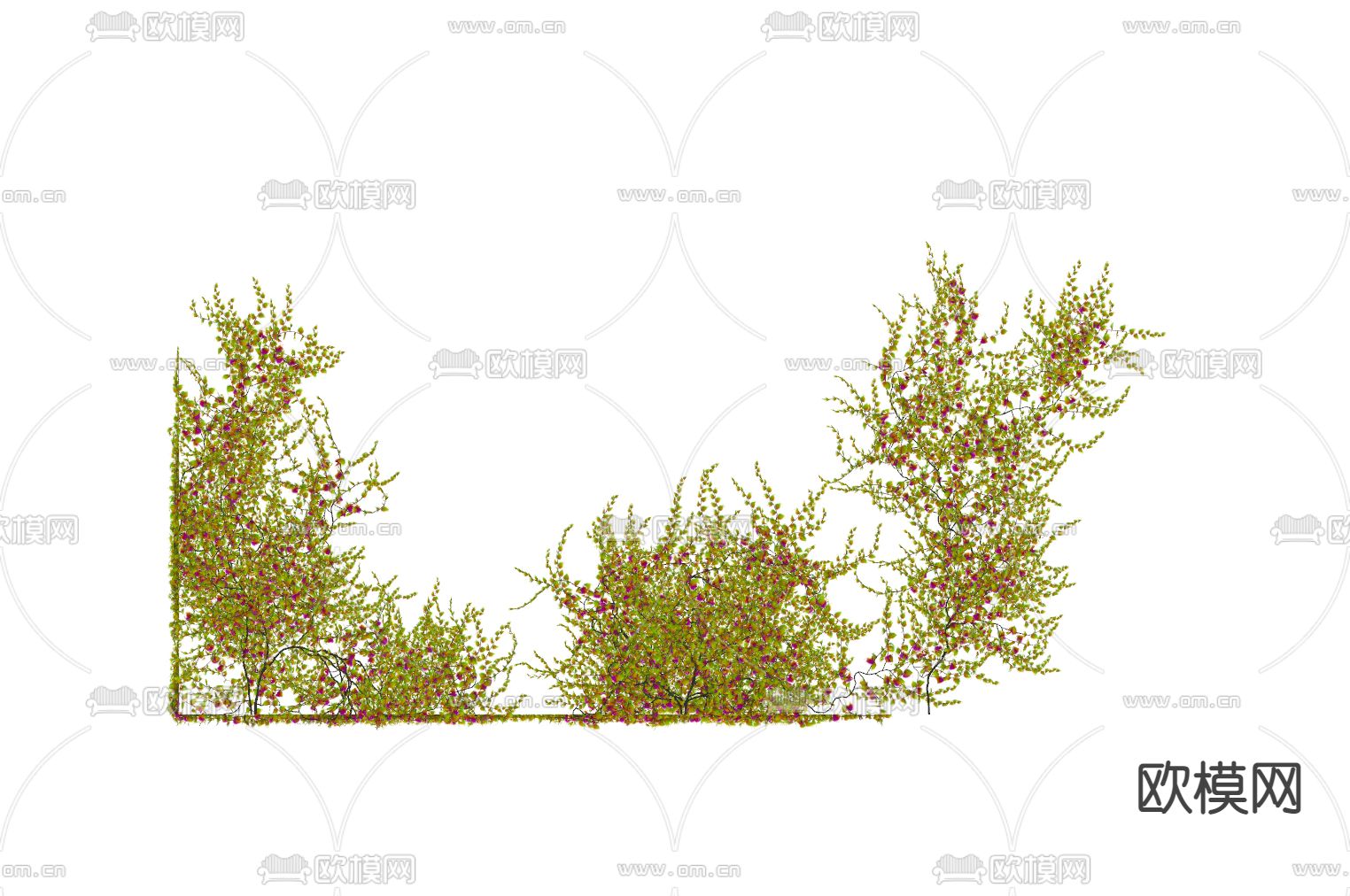 现代植物墙su模型