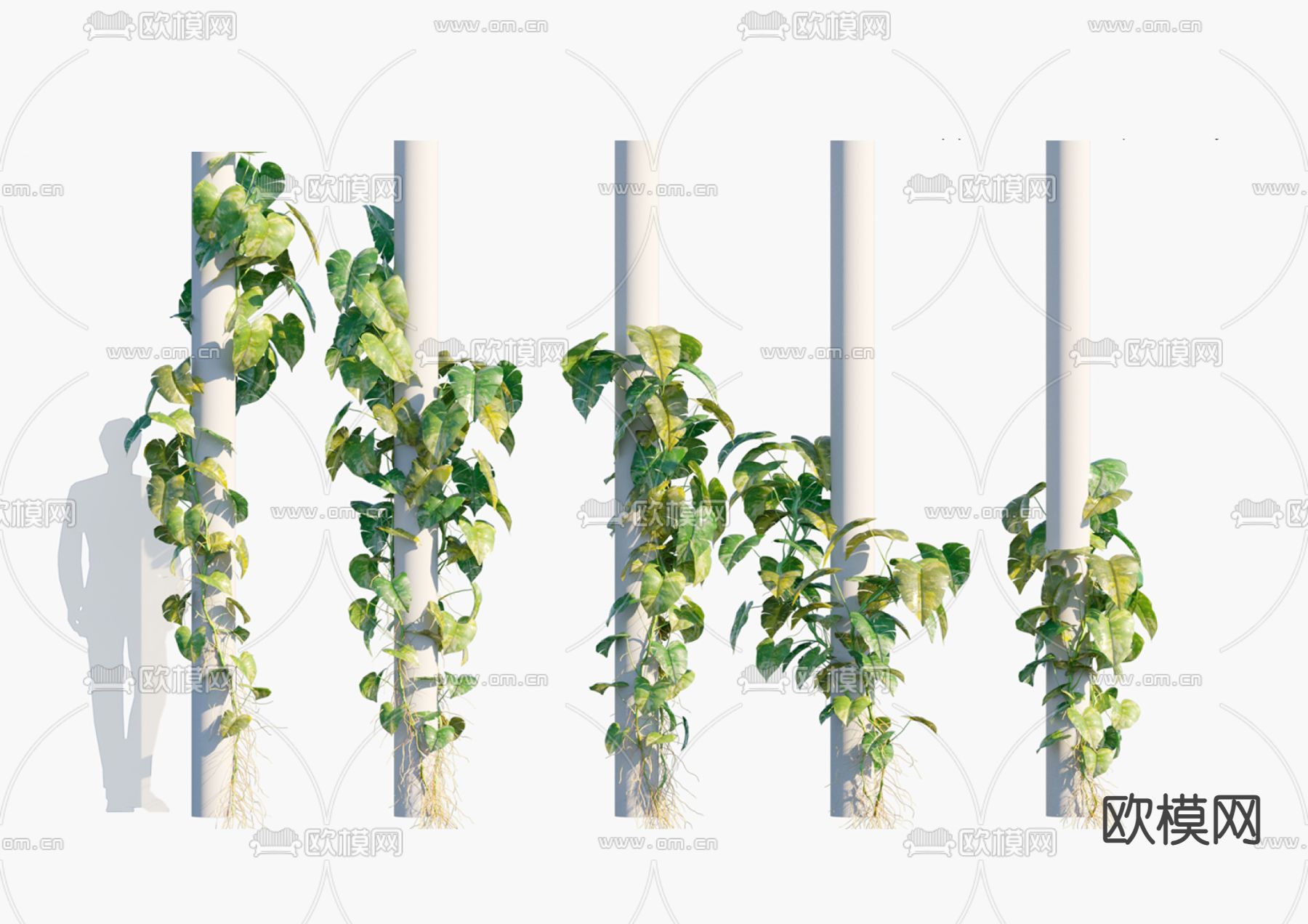 现代藤蔓su模型下载