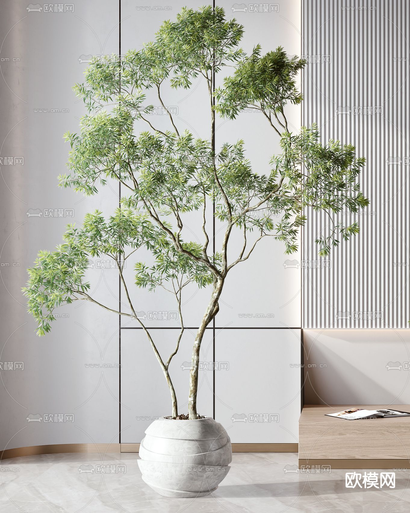 现代绿植盆栽3d模型下载（渲染图2）