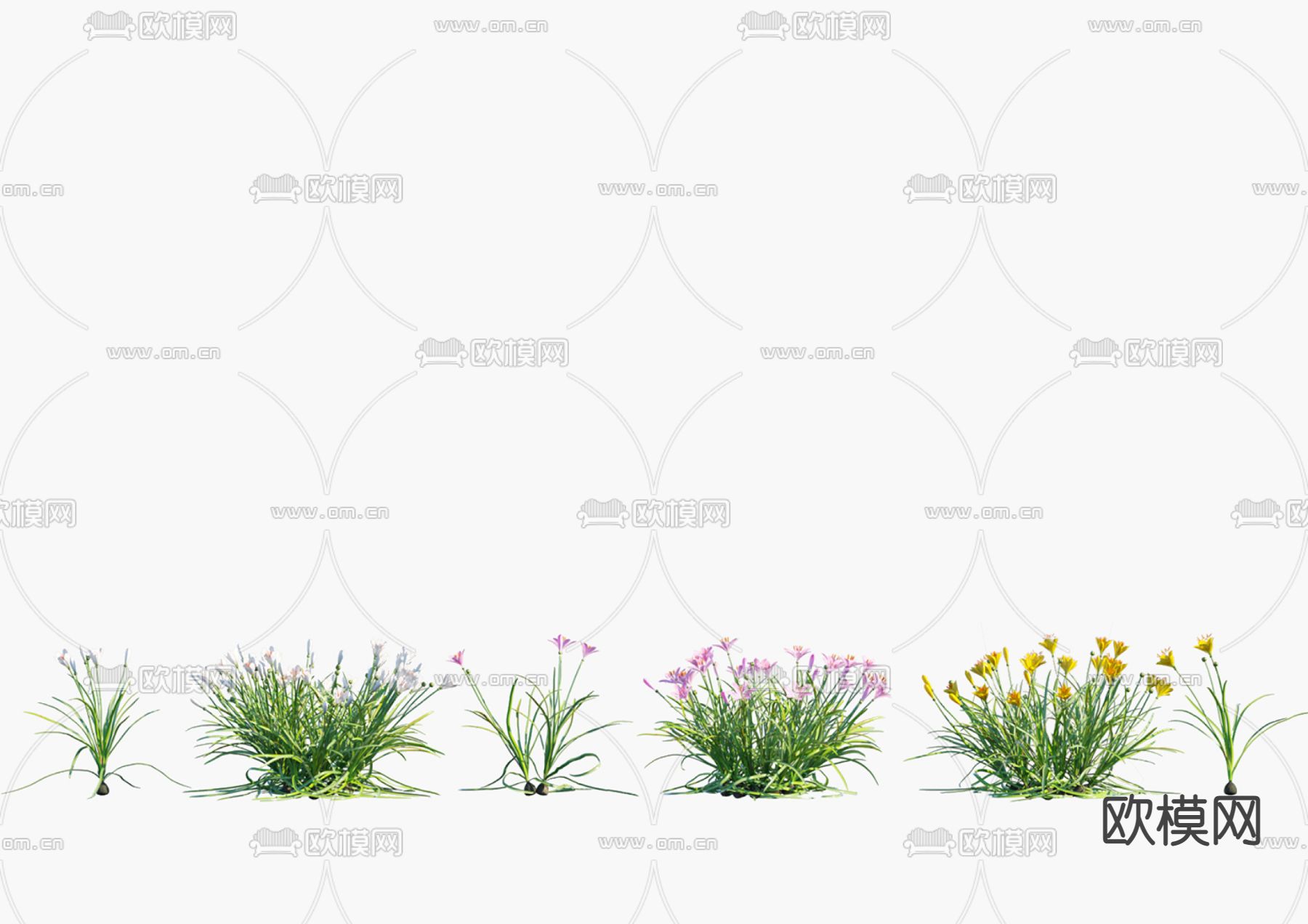现代花su模型