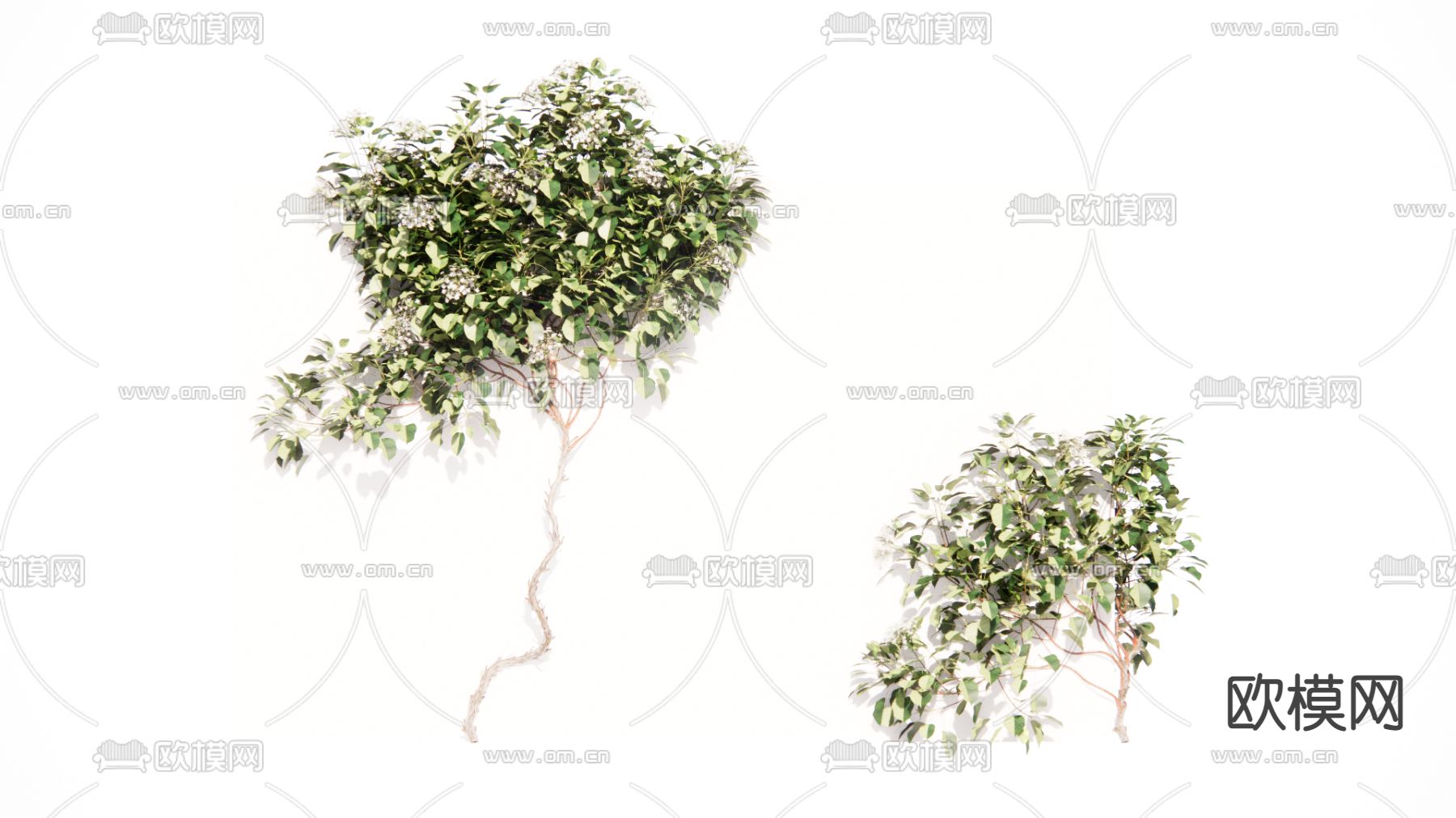 现代植物墙su模型