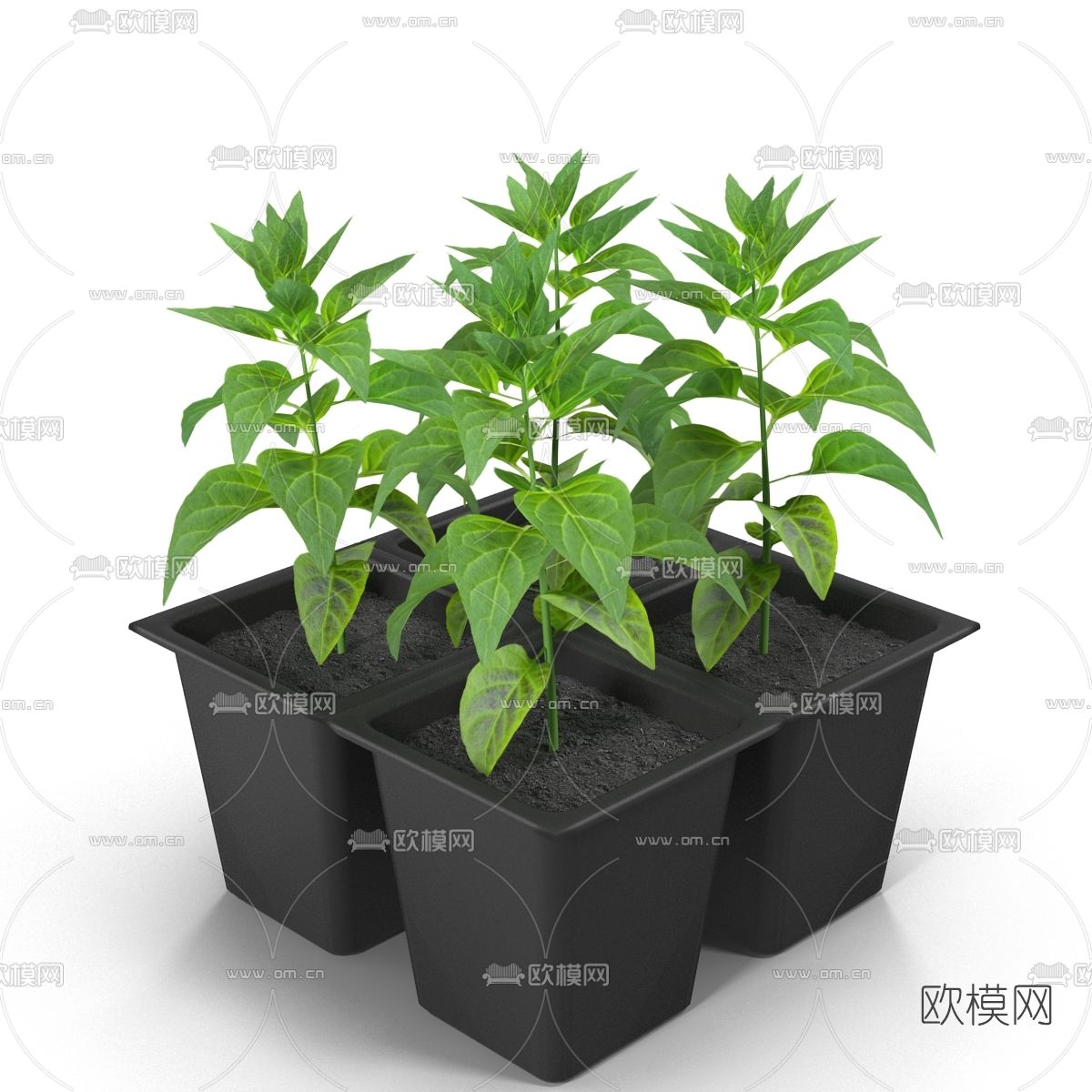 现代绿植盆栽免费3d模型下载