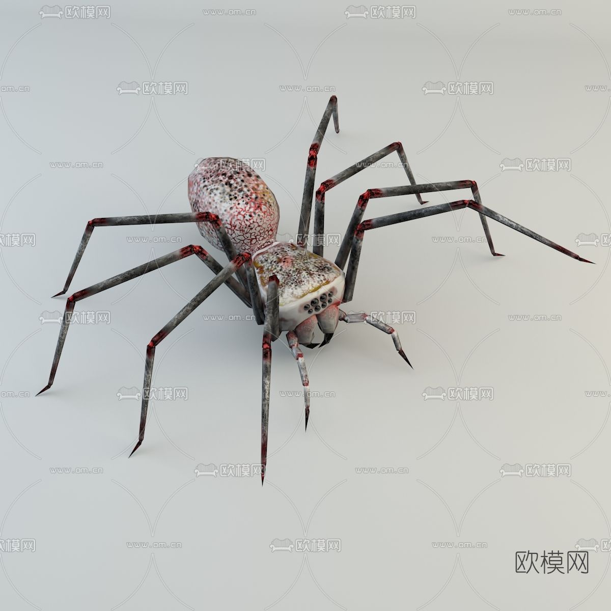 现代蜘蛛免费3d模型下载